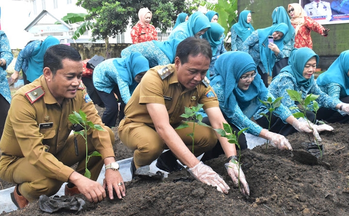 Tim Penggerak PKK OKI Tanam 250 Bibit Cabai