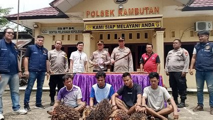 Empat Pencuri Sawit Ditangkap Buser Polsek Rambutan