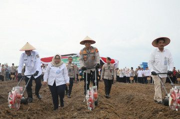 Penanaman Jagung serentak kuartal III Dukung Swasembada Pangan, Wakapolda Turun Langsung ke Desa Muara Baru Kabupaten OI